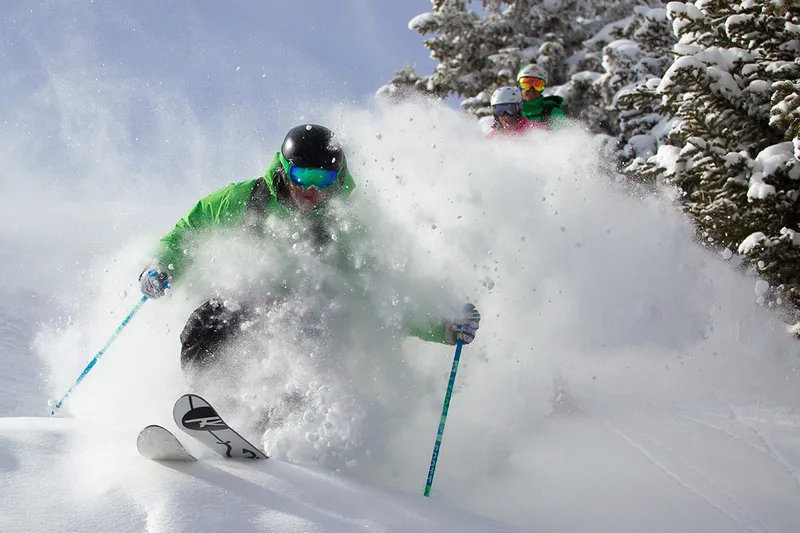 5d1dc244c7f40vail powder skier trees credit cody downard