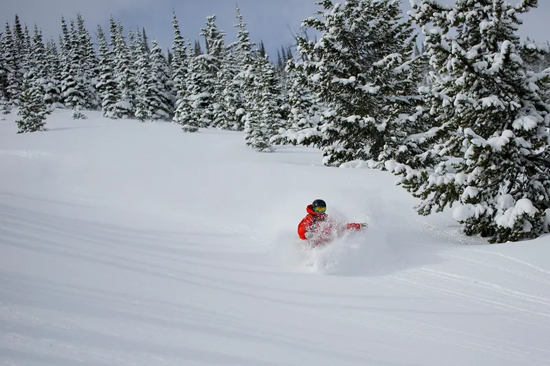 Castle Mountain powder skier © Alan Heidel