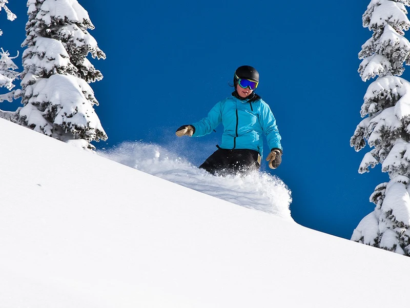 Fernie bluebird powder © Henry Georgi & Fernie