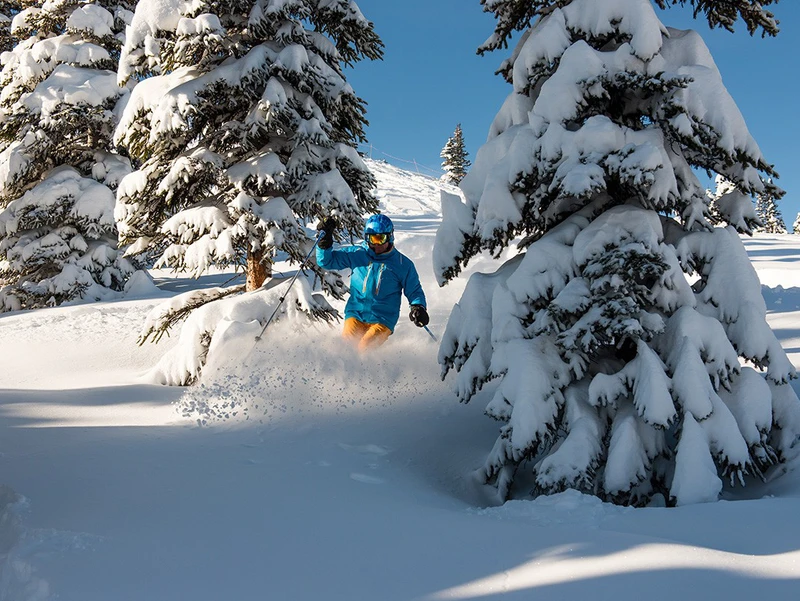 Jasper Marmot Basin bluebird powder day