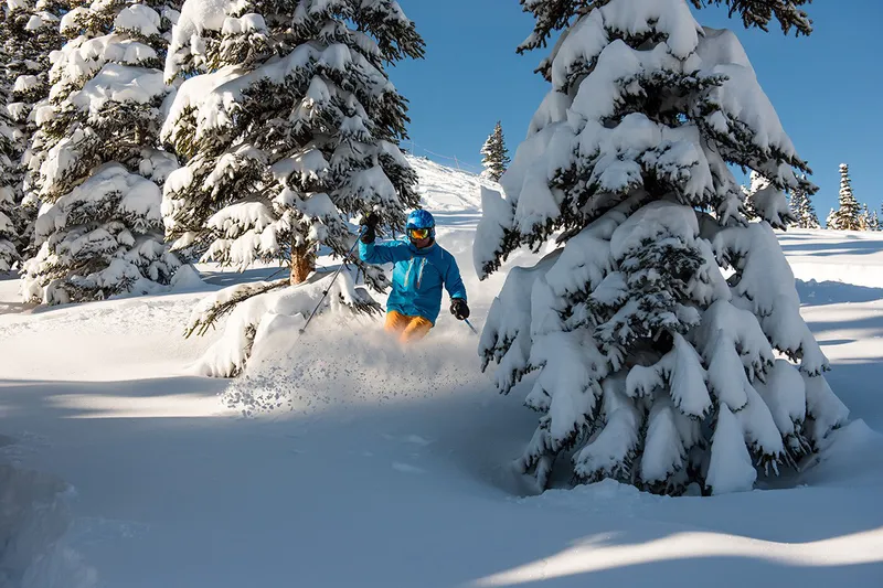 Jasper Marmot Basin bluebird powder day