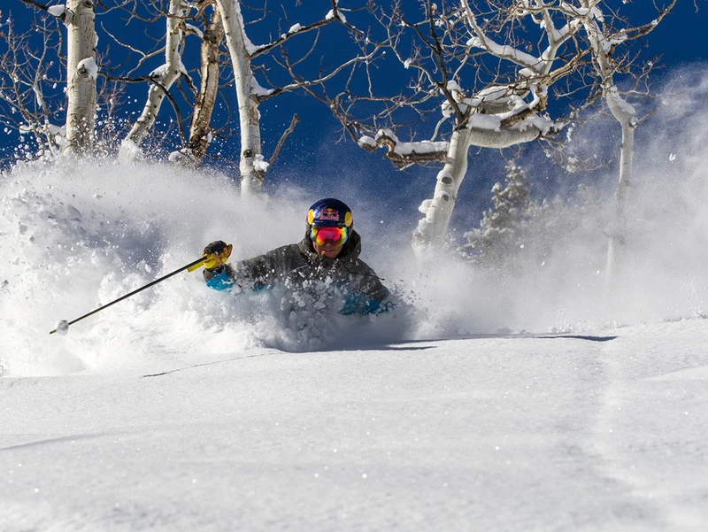 Aspen glades bluebird © Jesse Hoffman