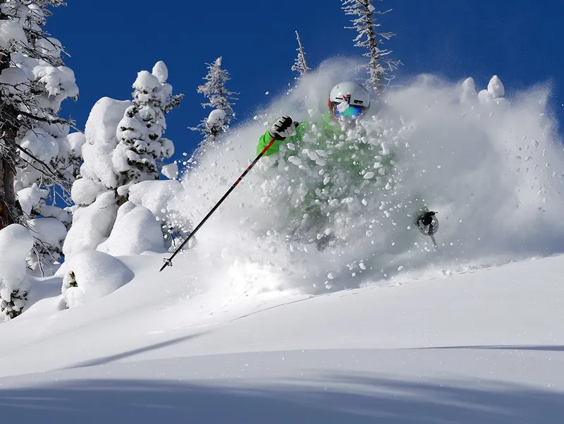 5d1dc2f472a6bsteamboat powder bluebird credit larry pierce steamboat ski resort