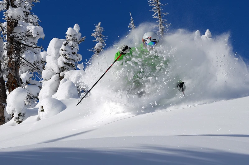 5d1dc2f472a6bsteamboat powder bluebird credit larry pierce steamboat ski resort