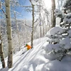 5d1dc324afde5beaver creek bluebird glades jack affleck