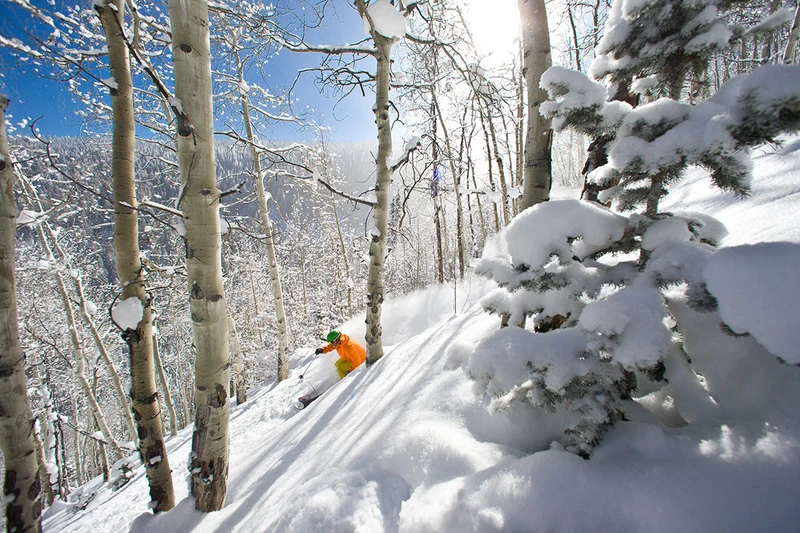 5d1dc324afde5beaver creek bluebird glades jack affleck