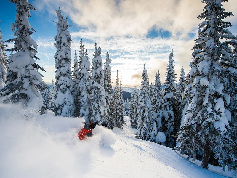 Silver Star powder trees © Blake Jorgenson