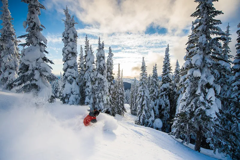 Silver Star powder trees © Blake Jorgenson