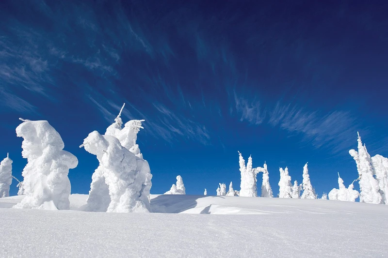Silver Star - Snow Ghosts © Silver Star Resort