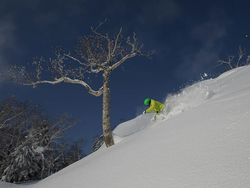 Furano bluebird powder day
