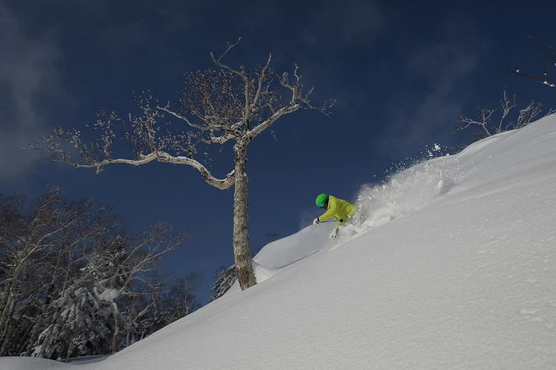 Furano bluebird powder day