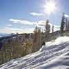 5d1dc37c50dc1kimberley powder sun trees credit henry georgi