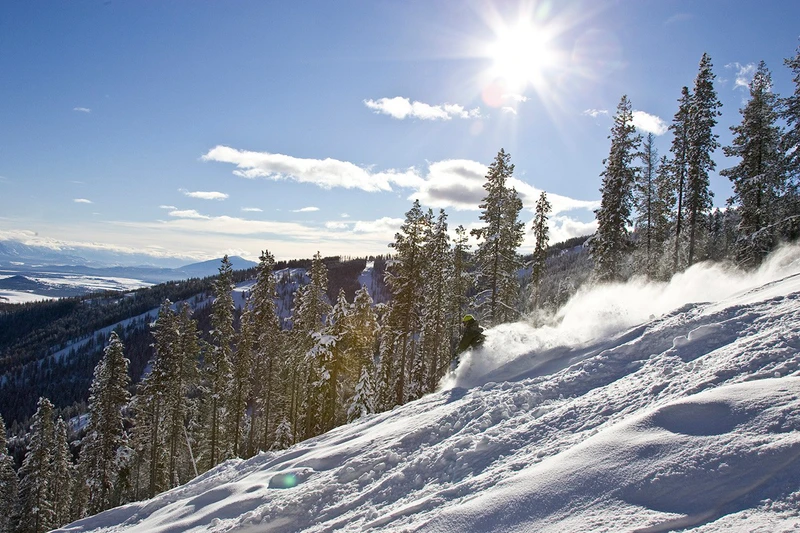 5d1dc37c50dc1kimberley powder sun trees credit henry georgi
