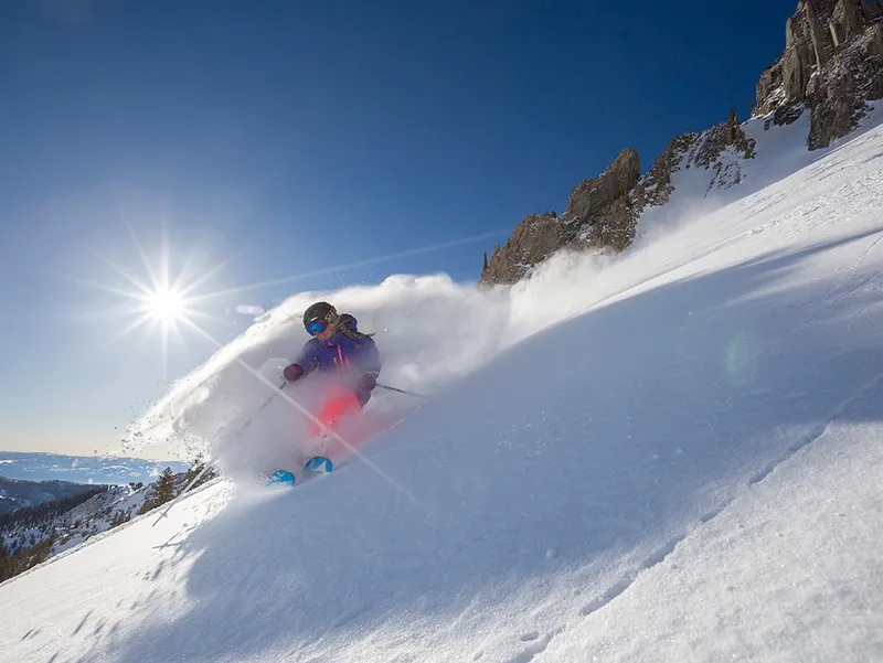Snowbird powder © Snowbird