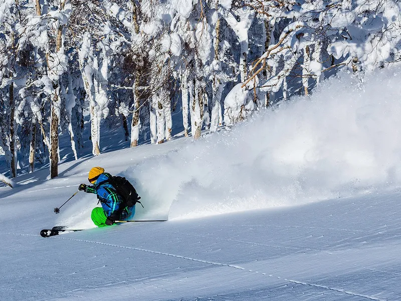 Rusutsu powder trees volcano backdrop © Grant Gunderson