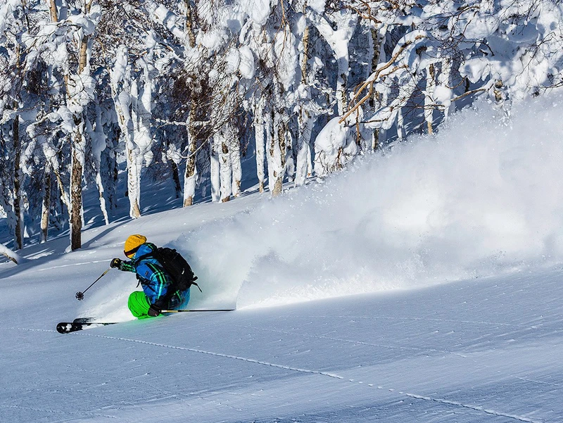 Rusutsu powder trees volcano backdrop © Grant Gunderson