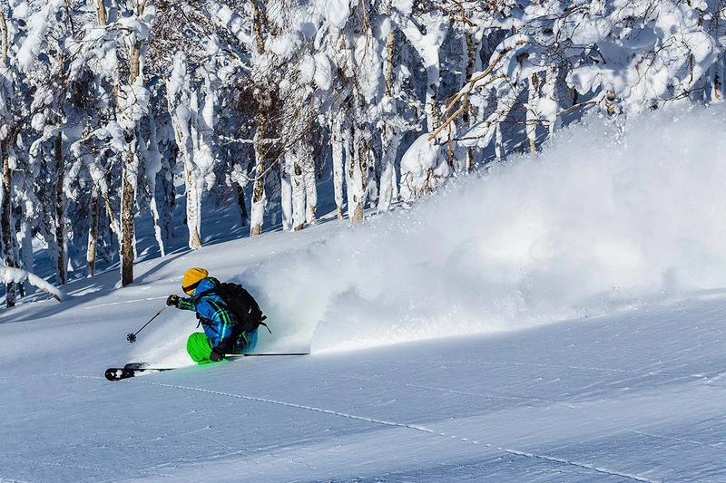 Rusutsu powder trees volcano backdrop © Grant Gunderson