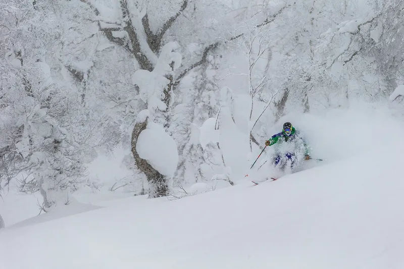 5d1dc38c86f5frusutsu powder credit grant gunderson