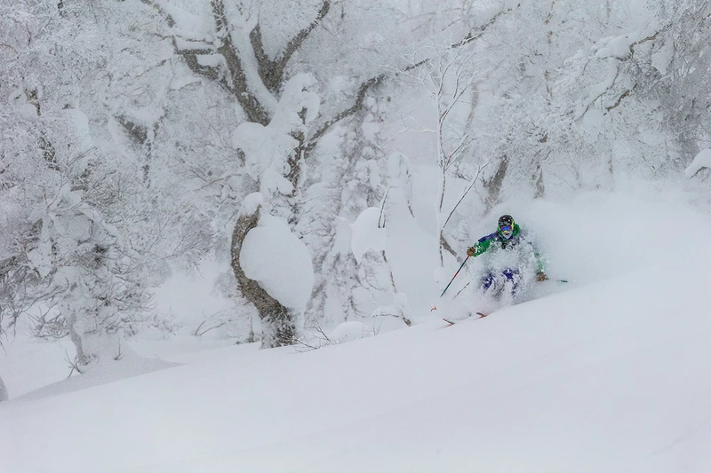 5d1dc38c86f5frusutsu powder credit grant gunderson