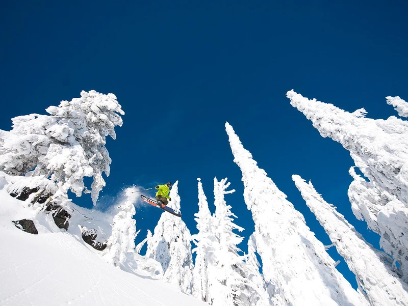 Red trees powder © Marseille