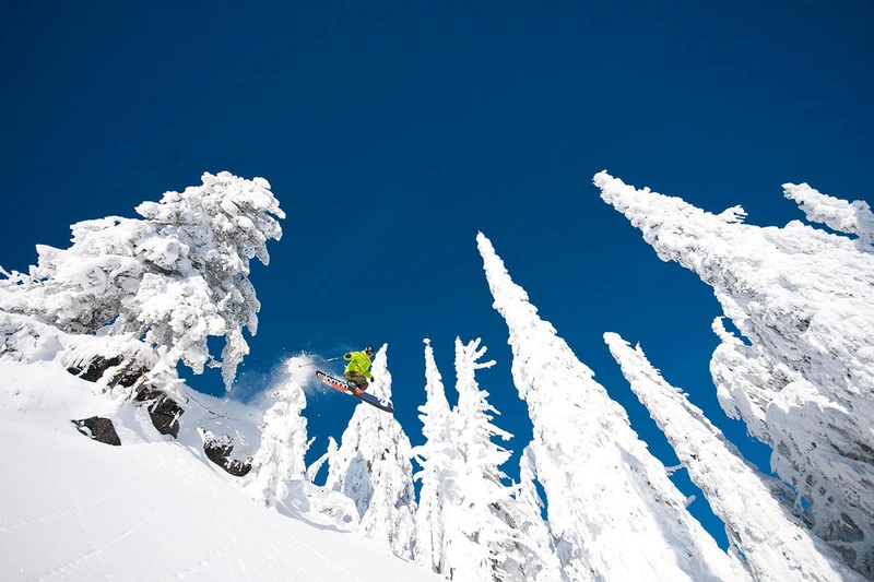 Red trees powder © Marseille