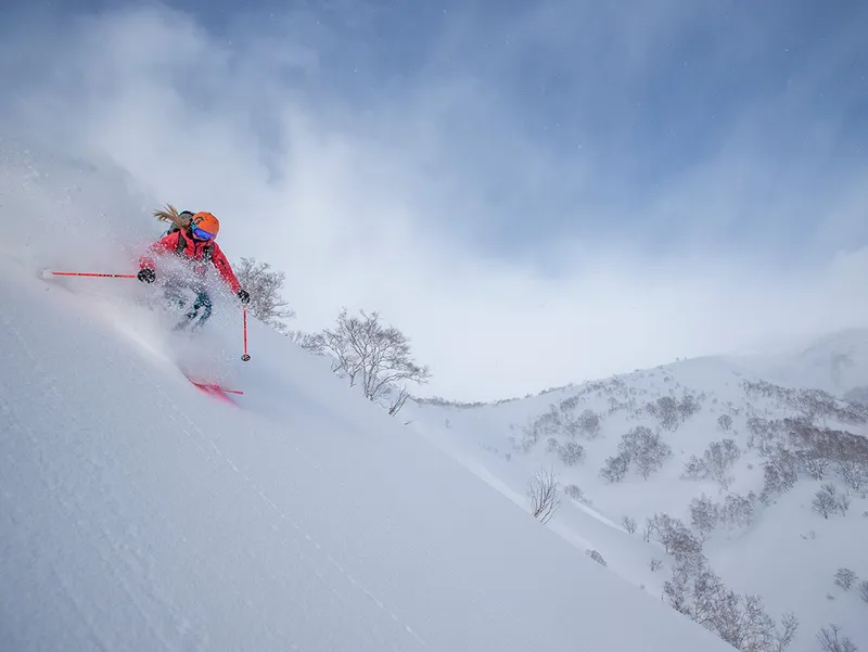 Kiroro Powder Skier © Will Wissman