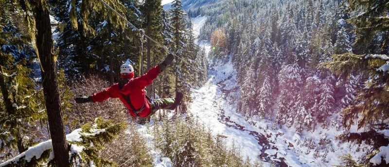 5d1dc500439ccwhistler ziptrek