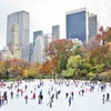 New York ice skaters Central Park