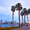 San Diego at dusk cityscape palm trees