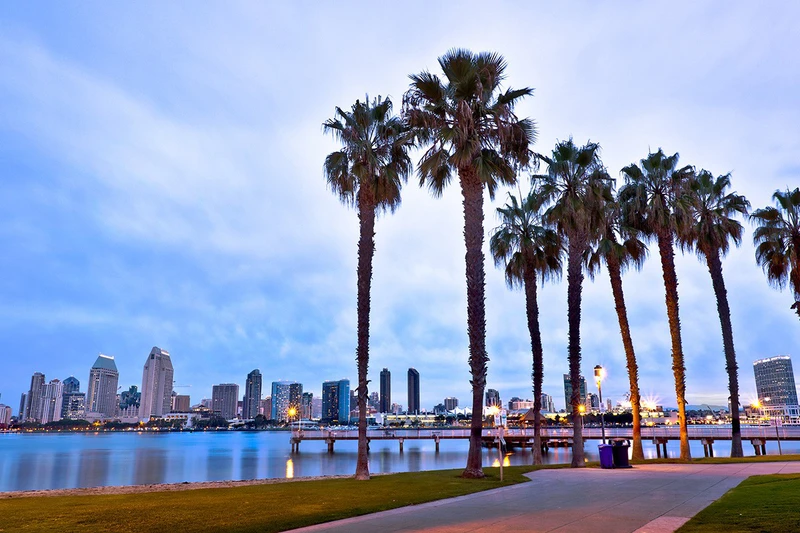 San Diego at dusk cityscape palm trees