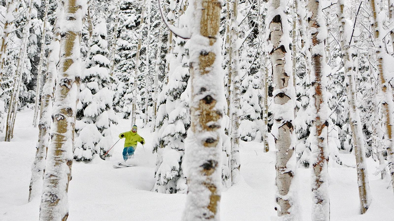5d1dc7ac35944park city tree skiing credit dan campbell