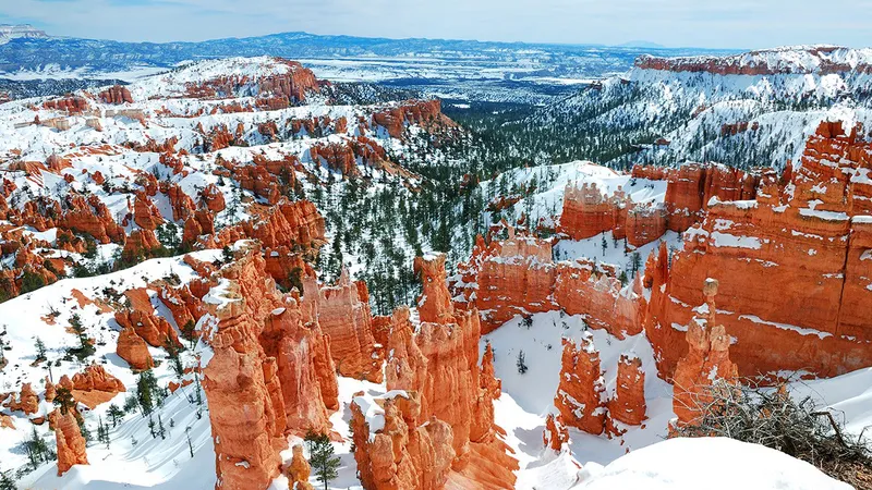 5d1dc7ad4ac5abryce canyon