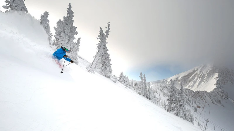 5d1dc7adf2230snowbird powder ridge credit snowbird 16x9