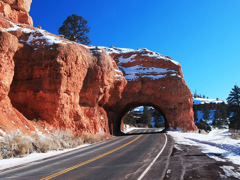 Bryce National Park Road Trip