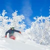 5d1dc7c2988e4are skier trees snow credit karl hagglund skistar 16x9