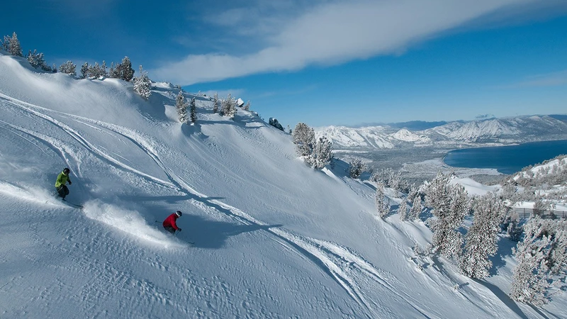 5d1dc7e803f42california ski safari heavenly