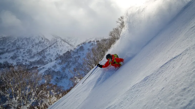 Kiroro Steep and Deep © Stellar Aengerbretson