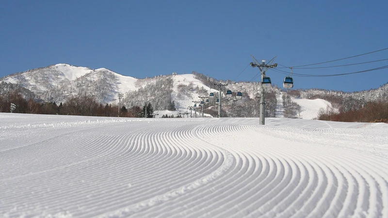 Groomed Runs in Furano