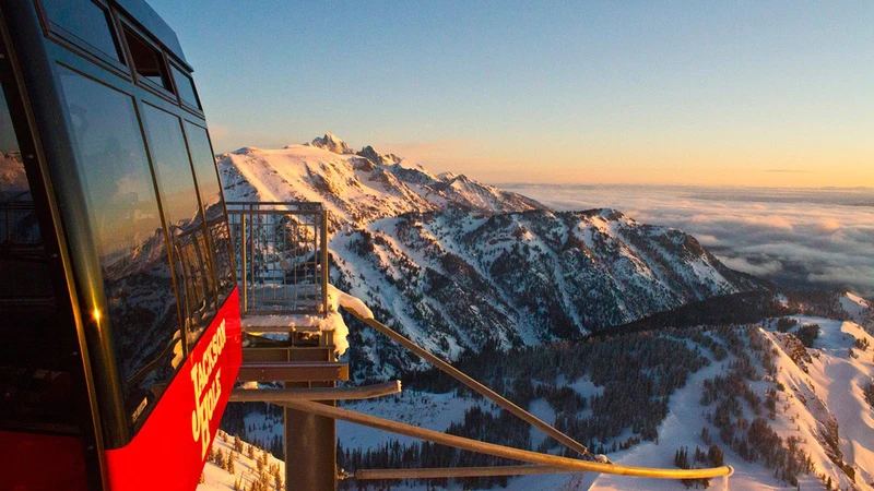 5d1dc7f7afc1bjackson tram credit jackson hole mountain resort16x9