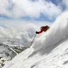 5d1dc7f84ca4dbig ski powder lonnie ball