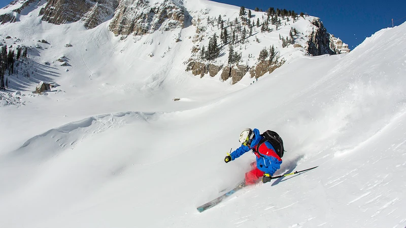 5d1dc7fa5eb10jackson hole powder ski