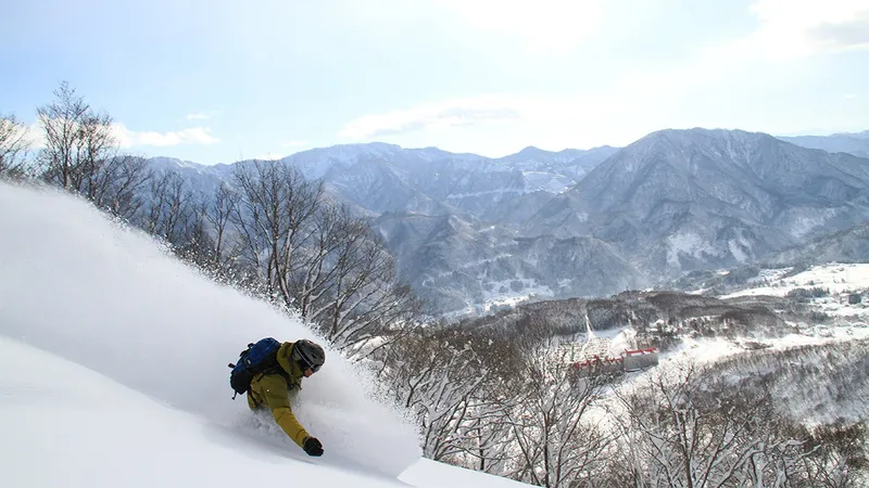 5d1dc80265380hakuba cortina powder skier16x9