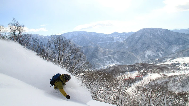 5d1dc80265380hakuba cortina powder skier16x9