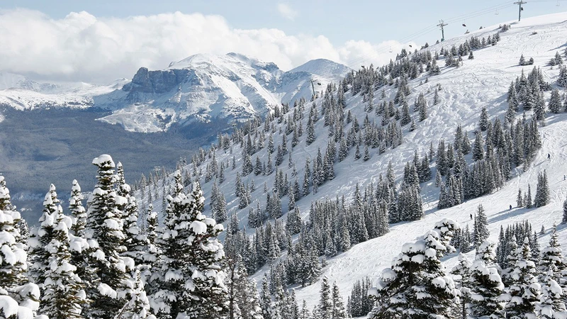 5d1dc81f0e4b8jasper marmot basin scenic16x9