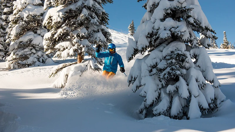 5d1dc81fdba82jasper marmot basin powder bluebird16x9
