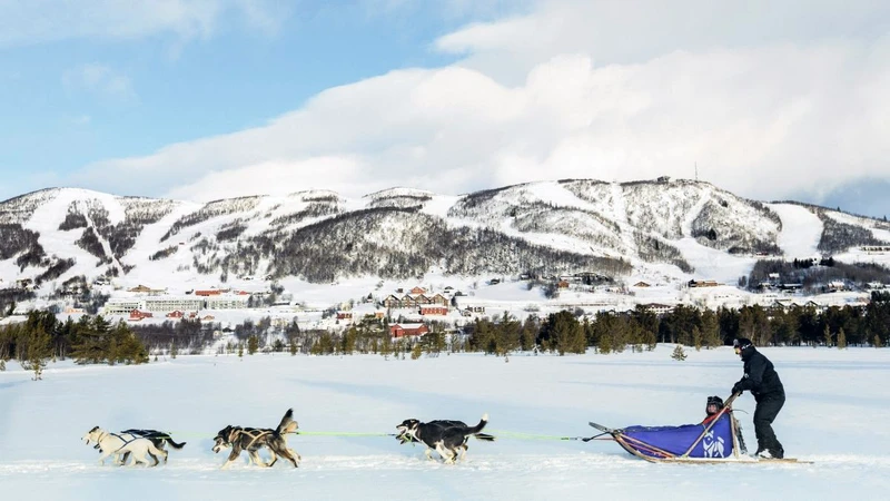 5d1dc82f2f8ccgeilo huskies credit emile holba 16x9