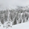 Skier and Snowcat Steamboat Powdercats