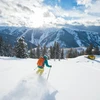 5d1dc86a55f3daspen snowcat powder tours skier to cat