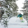 5d1dc86db7e6caspen snowcat powder tours skier trees
