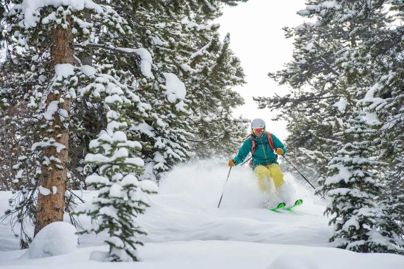 5d1dc86db7e6caspen snowcat powder tours skier trees
